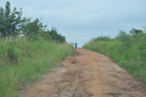 Le strade dell'Uganda